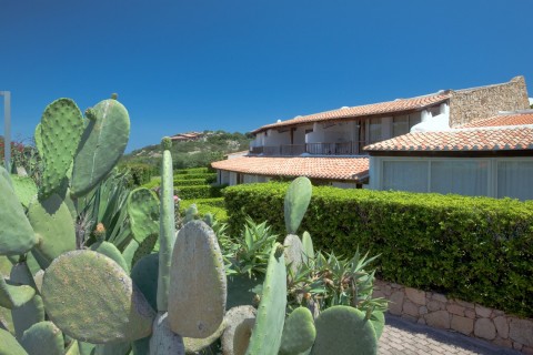 Outside areas Bilo Top Sup. 4 - Capo Ceraso Resort